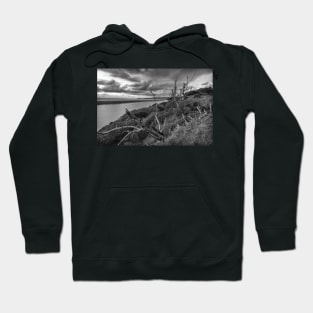 Stormy Day at the Mouth of the River Hoodie